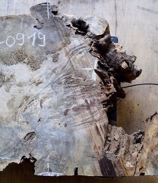 Buckeye Maser, ca. 550 x 530 (550) x 50mm, 5,6kg