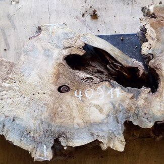 Buckeye burl slab, approx. 1130 x 480 x 52mm, 8,1kg