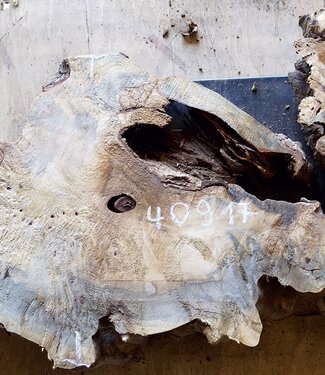 Buckeye burl slab, approx. 1130 x 480 x 52mm, 8,1kg