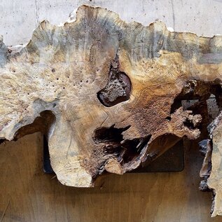 Buckeye burl slab, approx. 1130 x 480 x 52mm, 8,1kg