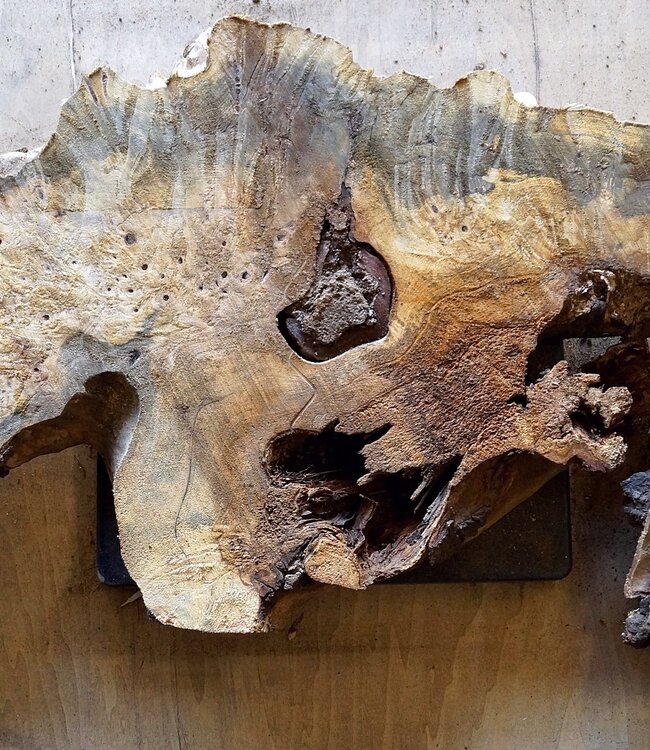 Buckeye Maser, ca. 1130 x 480 x 52mm, 8,1kg