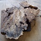 Buckeye burl slab, approx.  470 x 440 x 52mm, 4,4kg