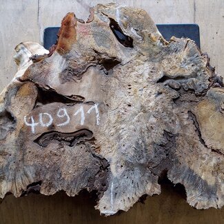 Buckeye burl slab, approx. 780 x 470 x 52mm, 5,1kg