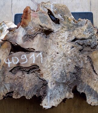 Buckeye burl slab, approx. 780 x 470 x 52mm, 5,1kg