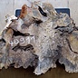 Buckeye burl slab, approx. 780 x 470 x 52mm, 5,1kg