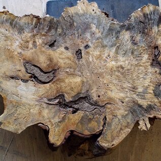 Buckeye burl slab, approx. 780 x 470 x 52mm, 5,1kg