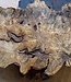 Buckeye burl slab, approx. 780 x 470 x 52mm, 5,1kg