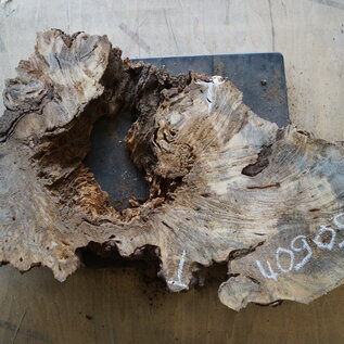 Buckeye burl slab, approx. 750 x 350 x 52mm, 4,0kg