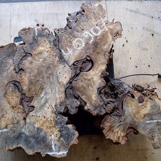 Buckeye burl slab, approx. 580 x 470 x 52mm, 4,4kg