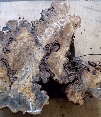 Buckeye Maser, ca. 580 x 470 x 52mm, 4,4kg