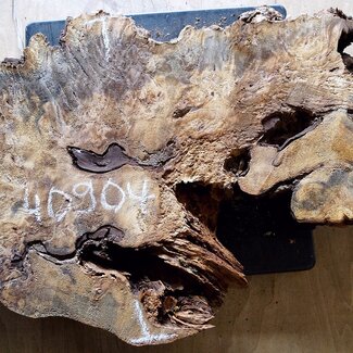 Buckeye burl slab, approx. 790 x 430 x 55mm, 5,4kg