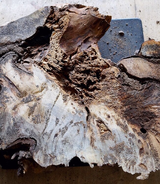 Buckeye Maser, ca. 790 x 430 x 55mm, 5,4kg