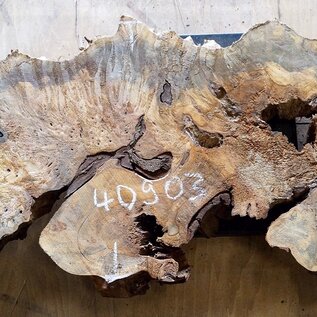 Buckeye burl slab, approx. 1200 x 470 x 52mm, 8,6kg