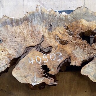 Buckeye burl slab, approx. 1200 x 470 x 52mm, 8,6kg