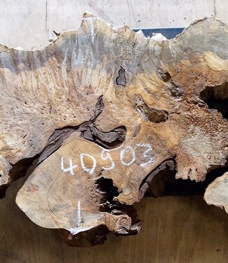 Buckeye Maser, ca. 1200 x 470 x 52mm, 8,6kg