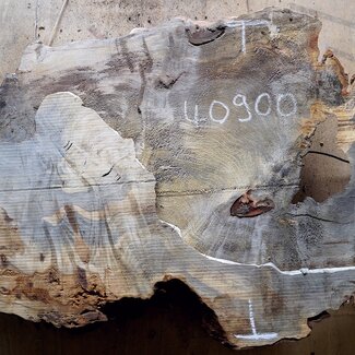 Buckeye Maser, ca. 760 x 520 x 45mm, 6,2kg