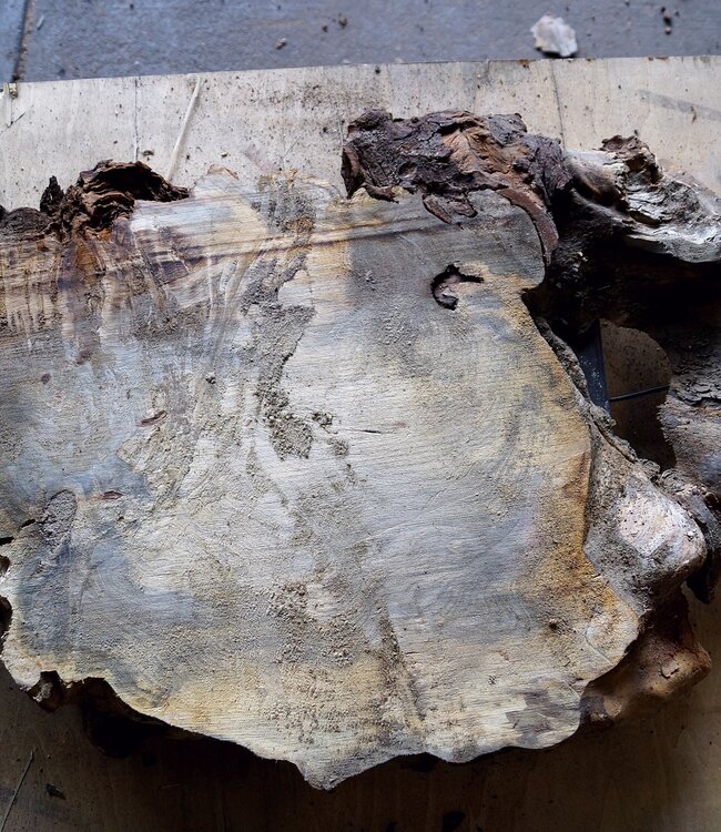 Buckeye Maser, ca. 760 x 520 x 45mm, 6,2kg