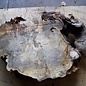 Buckeye burl slab, approx. 760 x 520 x 45mm, 6,2kg