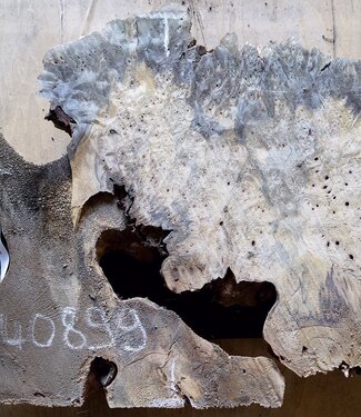 Buckeye burl slab, approx. 660 x 520 x 55mm, 5,6kg