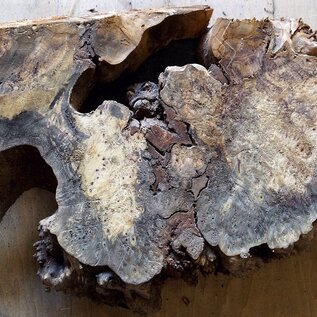 Buckeye burl slab, approx. 660 x 520 x 55mm, 5,6kg