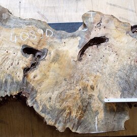 Buckeye burl slab, approx. 1380 x 610 x 48mm, 13,5kg