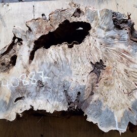 Buckeye burl slab, approx. 1010 x 520 x 52mm, 7,7kg