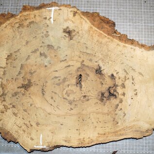 Oak Burl, approx. 610 x 420 x 32mm, 31323