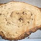 Oak Burl, approx. 610 x 420 x 32mm, 31323