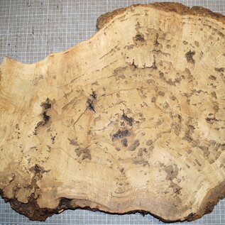 Oak Burl, approx. 720 x 460 x 32mm, 31324