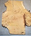 Oak Burl, approx. 550 x 480 x 32mm, 31328