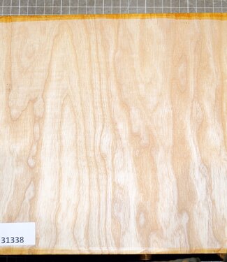 Esche Riegel, ca. 240 x 240 x 65mm, 2,3kg,