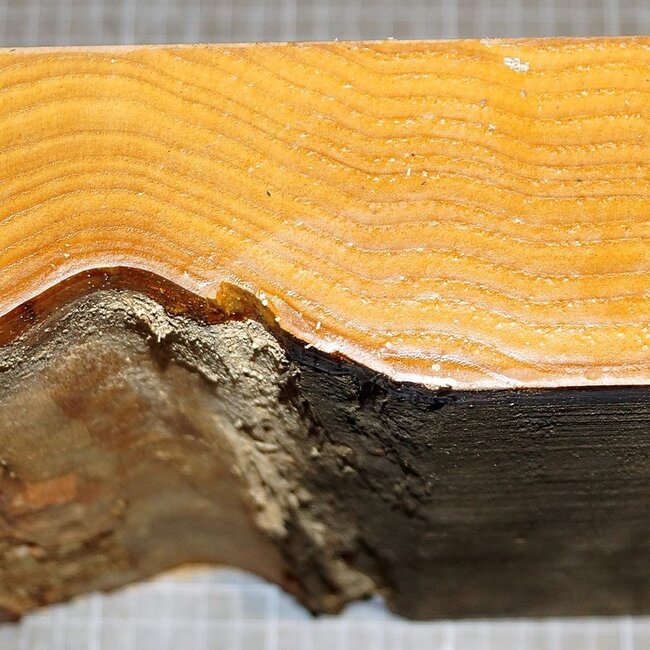 Ash fiddleback, approx. 240 x 240 x 65mm, 2,3kg,