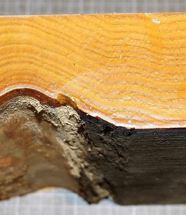 Ash fiddleback, approx. 240 x 240 x 65mm, 2,3kg,