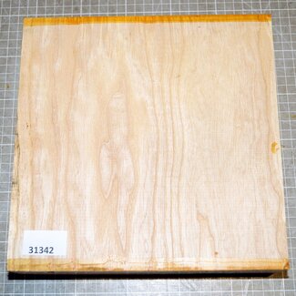 Esche Riegel, ca. 240 x 240 x 65mm, 2,3kg,