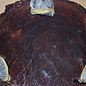 Camphor burl table, slab approx. 650 x 520 x 70 mm, height 60 cm, 11407