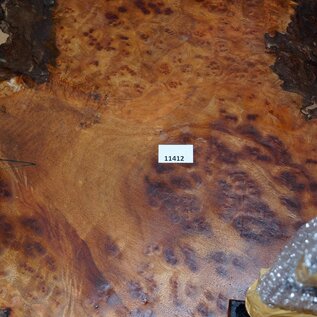 Camphor burl table, slab approx. 700 x 700 x 55 mm, height 60 cm, 11412