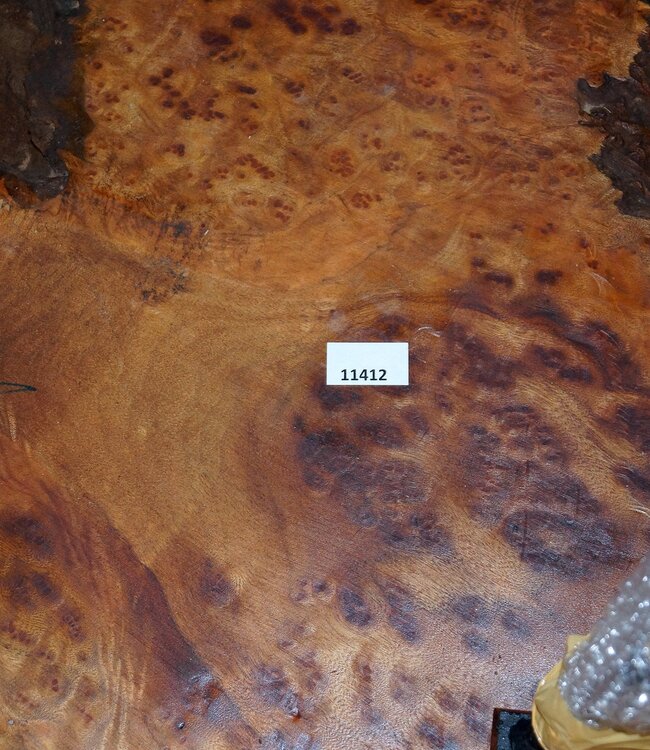 Camphor burl table, slab approx. 700 x 700 x 55 mm, height 60 cm, 11412