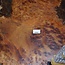 Camphor burl table, slab approx. 700 x 700 x 55 mm, height 60 cm, 11412