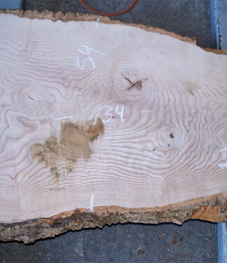 Ash fiddleback, approx.  1340 x 660 (540/270) x 50 mm, 13153