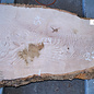 Ash fiddleback, approx.  1340 x 660 (540/270) x 50 mm, 13153