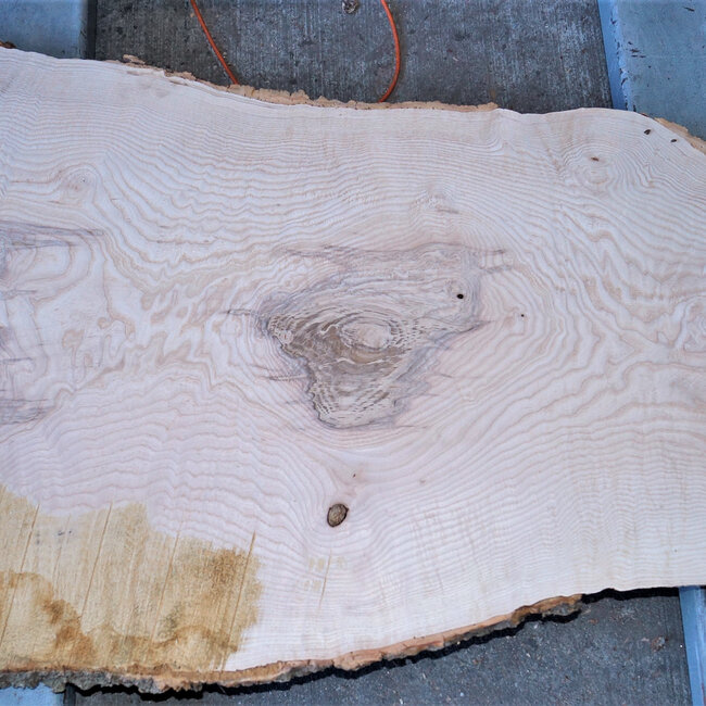 Ash fiddleback, approx.  1340 x 660 (540/270) x 50 mm, 13153