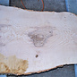 Ash fiddleback, approx.  1340 x 660 (540/270) x 50 mm, 13153