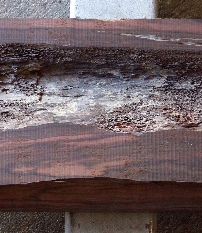 Makassar Ebony Flitches, approx. 1600 x 220 x 110mm, 13172