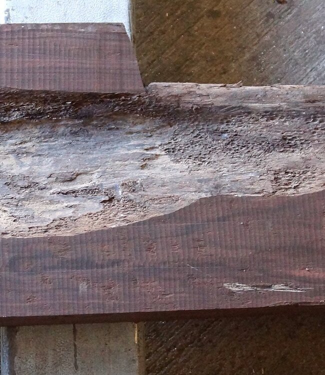Makassar Ebenholz Flitch, ca. 1600 x 220 x 110mm, 13172