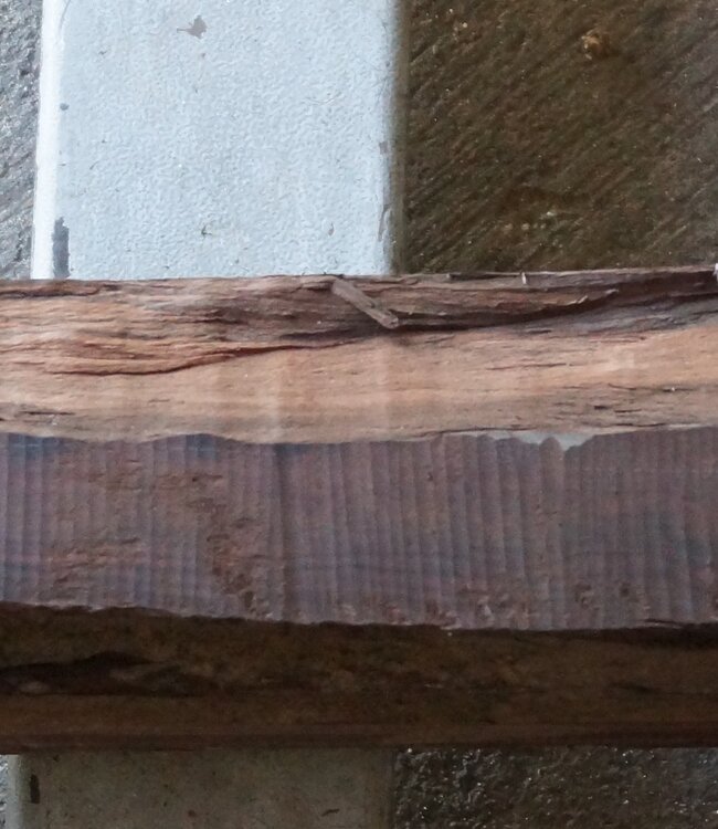 Makassar Ebenholz Flitch, ca. 1600 x 220 x 110mm, 13172