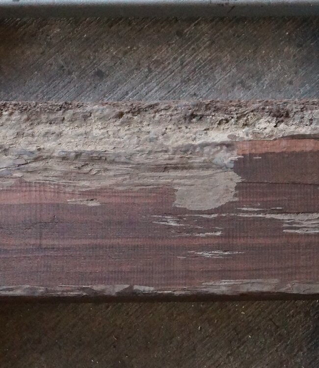 Makassar Ebenholz Flitch, ca. 1600 x 220 x 110mm, 13172