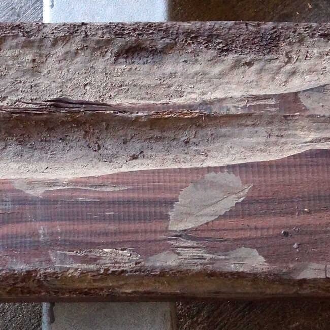 Makassar Ebenholz Flitch, ca. 1600 x 220 x 110mm, 13172