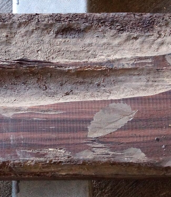 Makassar Ebenholz Flitch, ca. 1600 x 220 x 110mm, 13172