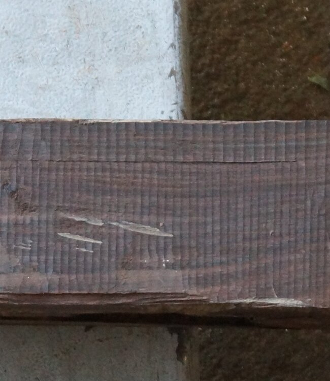 Makassar Ebenholz Flitch, ca. 1300 x 110 x 80mm, 13177