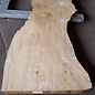 Poplar burl, Mappa slab, approx. 2600 x 750/500/770/800 x 65mm, 13189